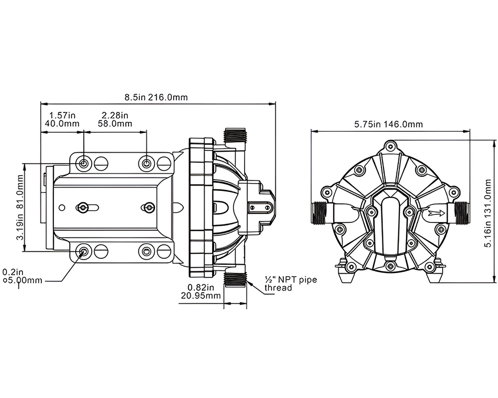 Seaflo 12V Dc Diaphragm Pump 5.0Gpm 60Psi - Image 7