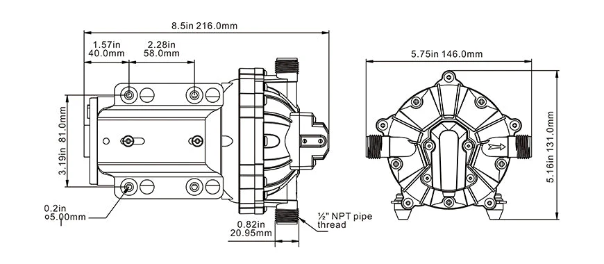 SEAFLO Diaphragm Pump - Image 9