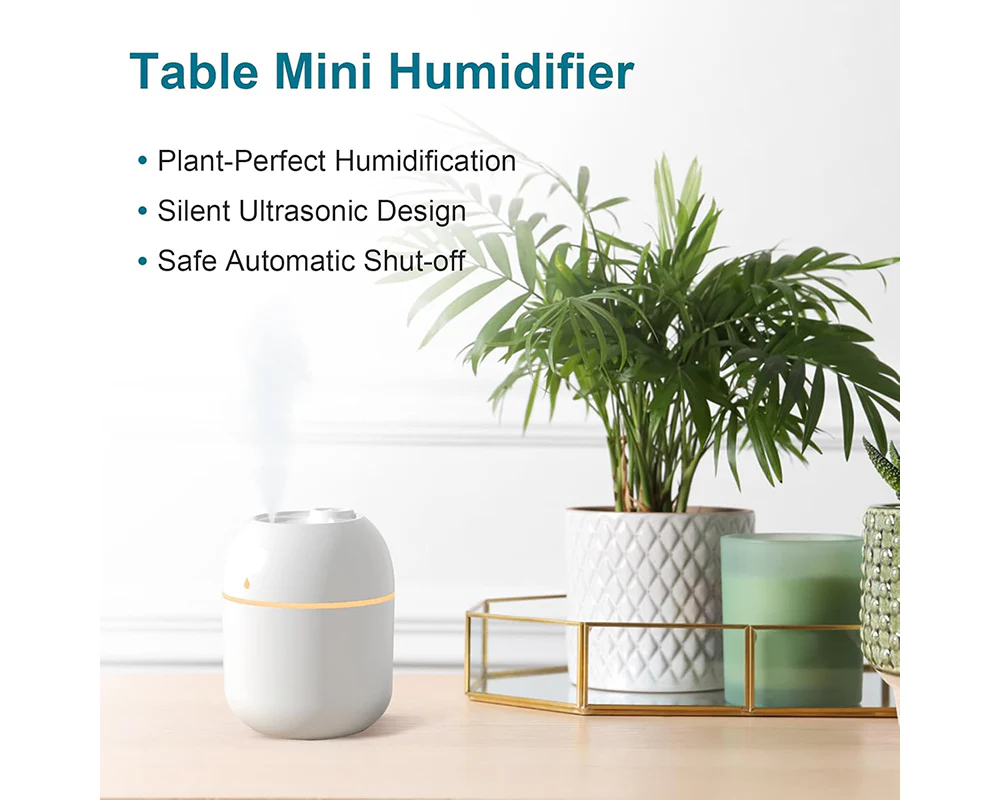 Portable Humidifier - Image 7