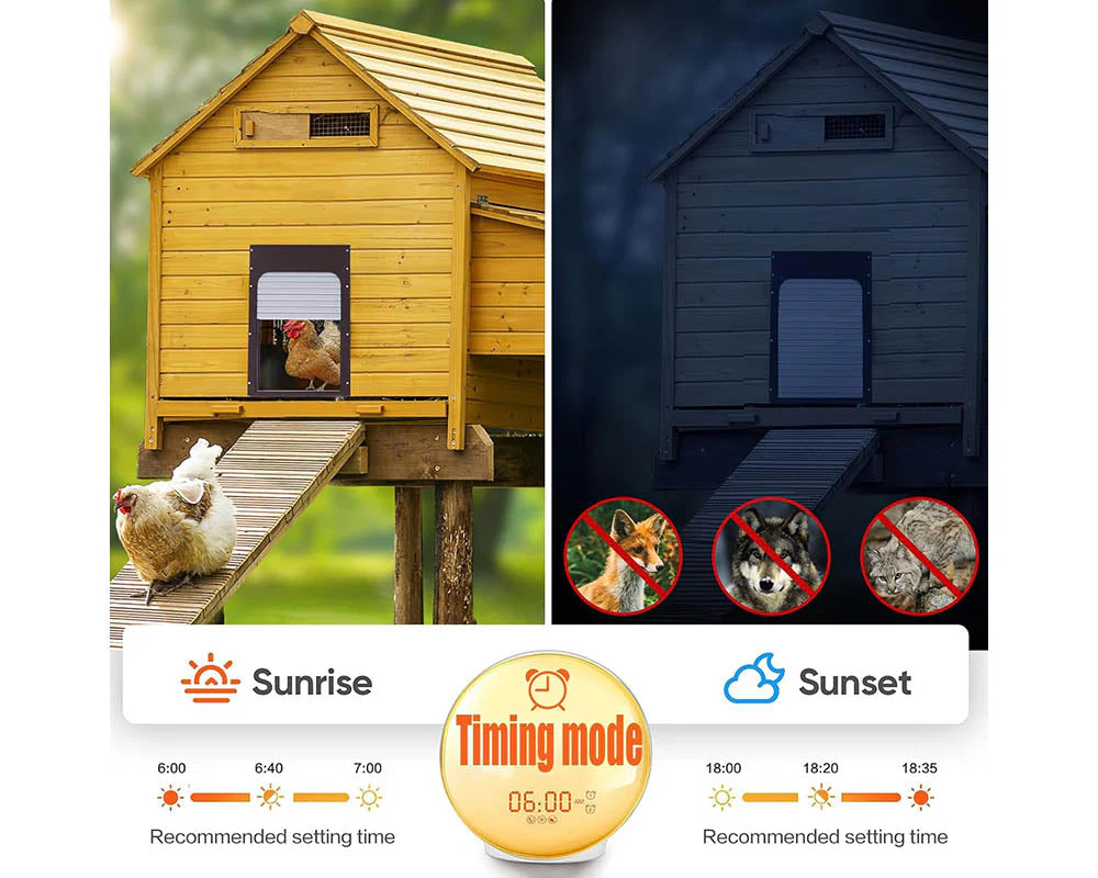 Solar-Powered Automatic Chicken Coop Door - Image 4