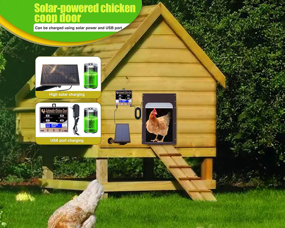 Solar-Powered Automatic Chicken Coop Door - Image 5