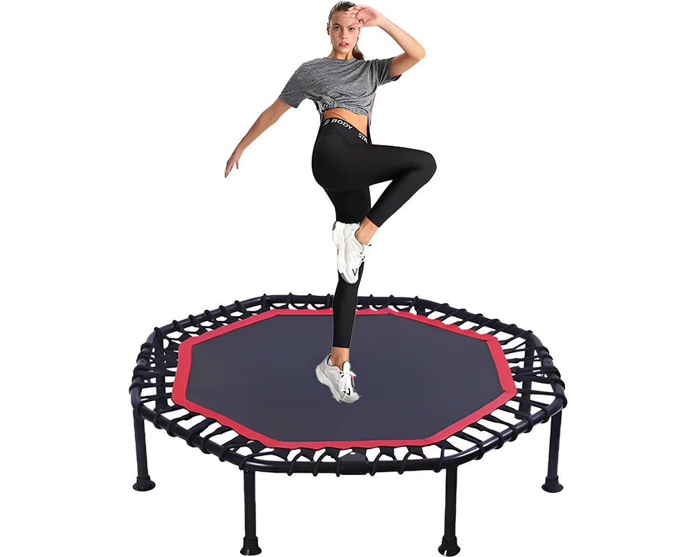 Trampoline Rebounder - Image 2